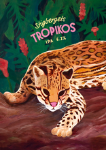 Load image into Gallery viewer, Posters